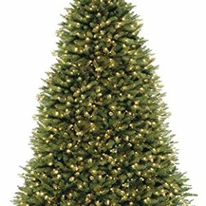 NATIONAL Tree COMPANY Dunhill Fir Tree with Dual Color LED Lights , 9 Feet