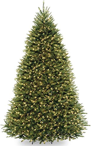 NATIONAL Tree COMPANY Dunhill Fir Tree with Dual Color LED Lights , 9 Feet